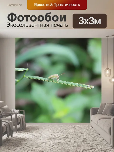 Фотообои Euschistus Servus Старшая нимфа