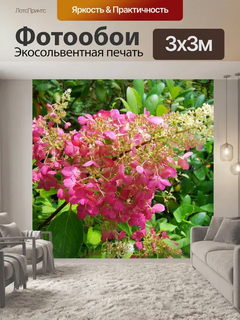 Фотообои Гортензия