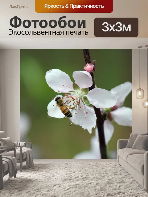 Фотообои Персик цветок в цвету
