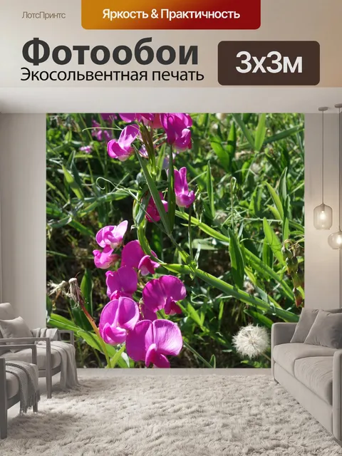 Фотообои Дикий сладкий горошек