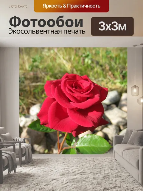 Фотообои Рось