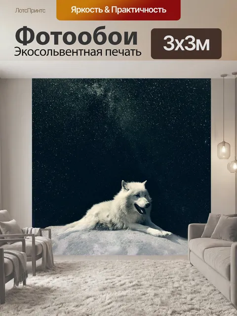 Фотообои Волк