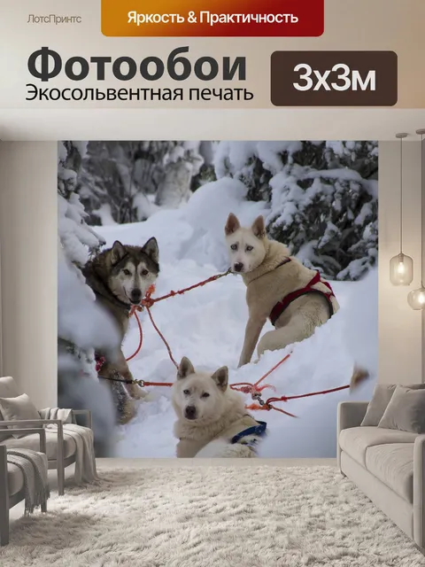 Фотообои Хаски