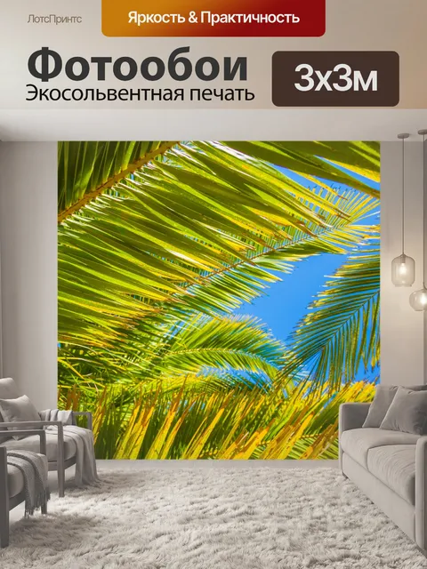 Фотообои Пальмовых листьев деревьев