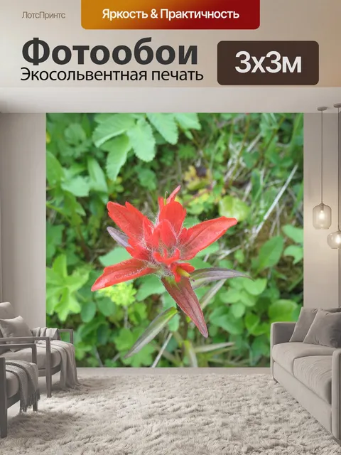 Фотообои Индийская кисть