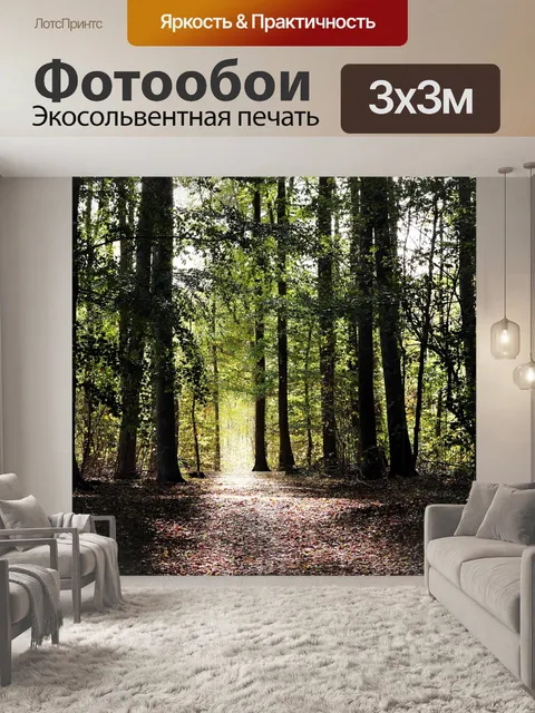 Фотообои Лес