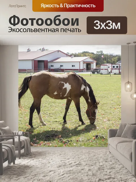 Фотообои Выпаса лошадей