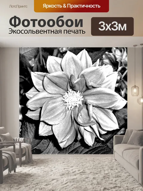 Фотообои Черно-белый 015