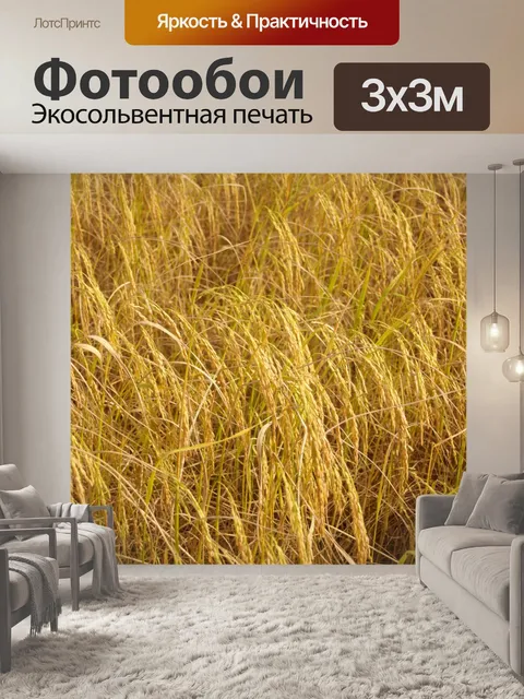 Фотообои Зрелый урожай золотого риса