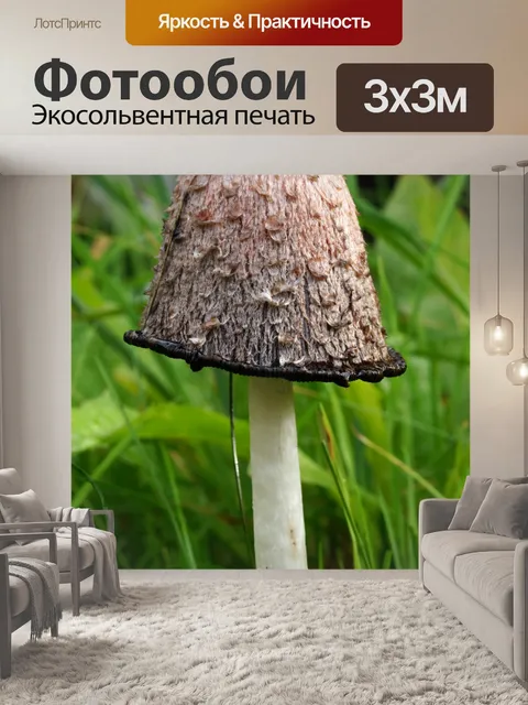 Фотообои Чернильница Coprinus comatus