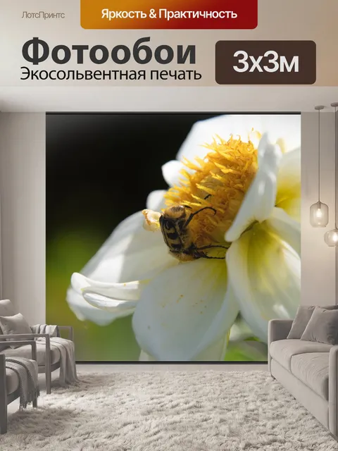 Фотообои Жук, жук-кустарник, насекомое