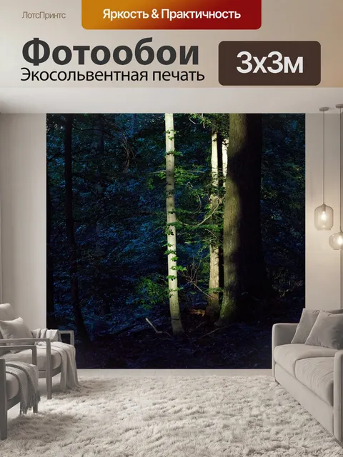 Фотообои Последний луч солнца