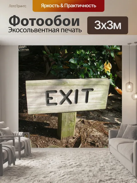 Фотообои Выход