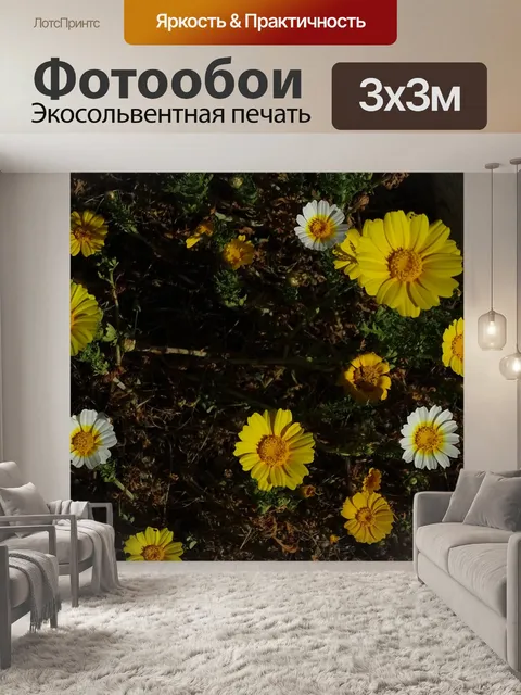 Фотообои Подсолнечник