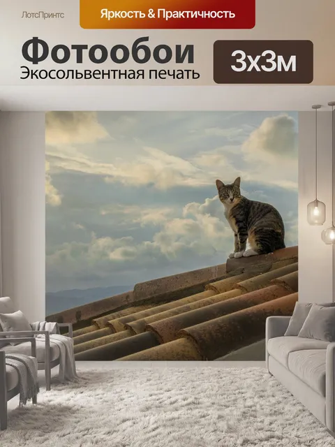 Фотообои Кот