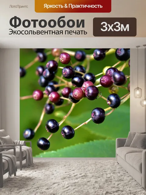 Фотообои Черные ягоды Осенние
