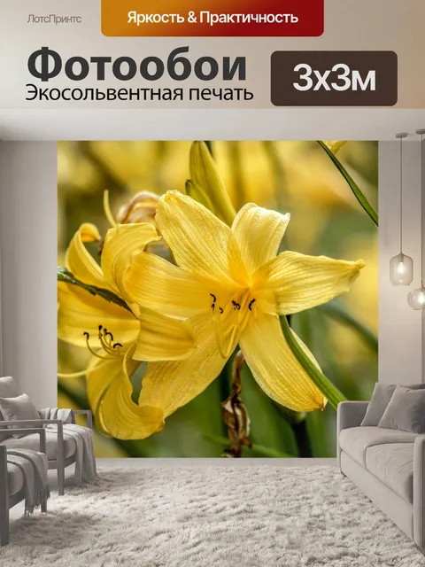 Фотообои Желтая лилия