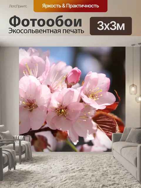 Фотообои Розовые цветы
