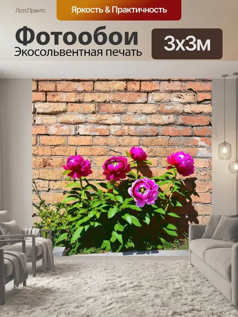 Фотообои группа пионов, растущих на фоне старой кирпичной стены, их яркие цвета создают интересный контраст с…