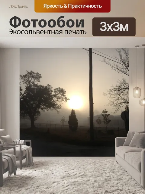 Фотообои Утренний туман