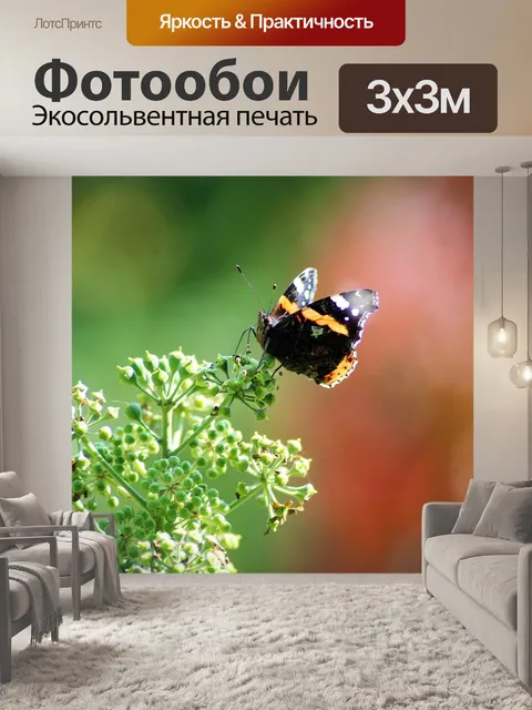 Фотообои Бабочка
