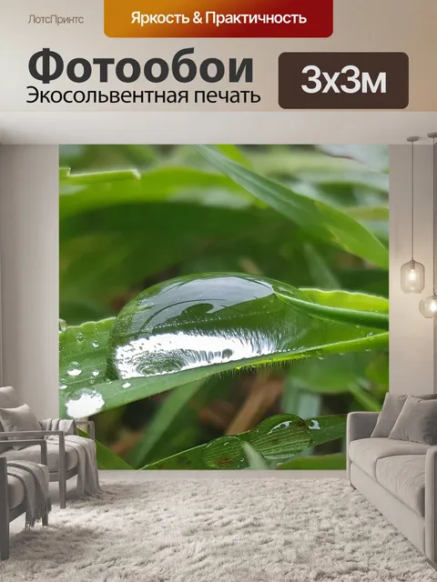 Фотообои Трава