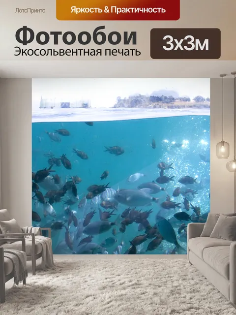 Фотообои Стая fish