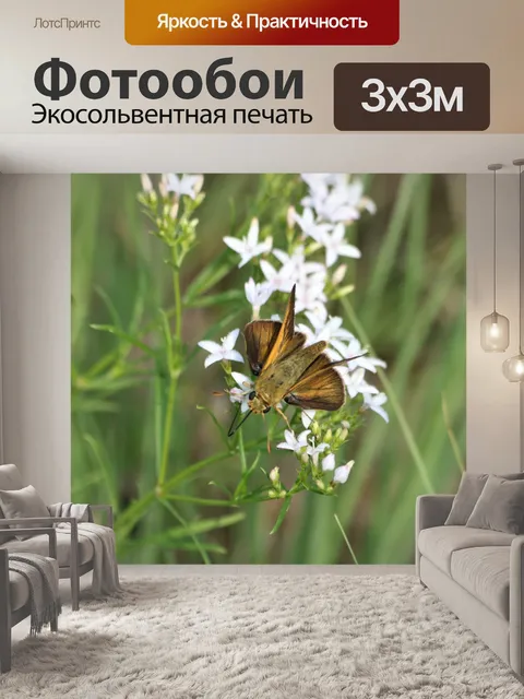 Фотообои Делавэр Шкипер Вид сверху