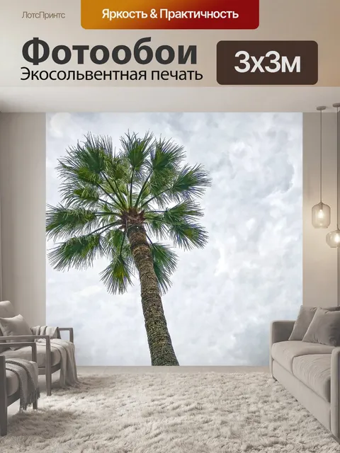 Фотообои Пальма