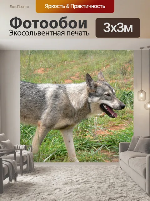 Фотообои Серые пустоши на стороне