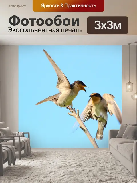 Фотообои Птицы