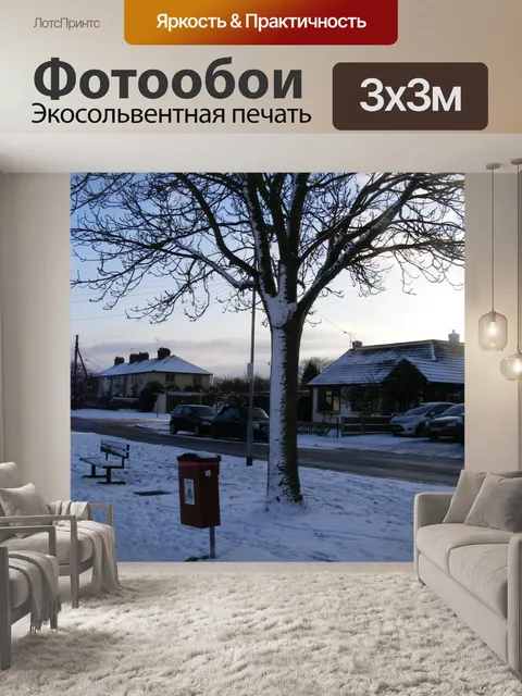 Фотообои Дерево, дорога, пригород, снег, солнечно