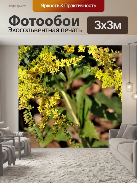 Фотообои Золотистые полевые цветы крупным планом