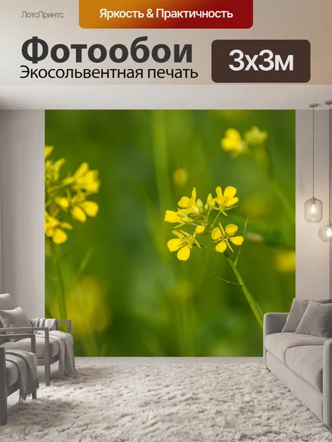 Фотообои Горчичный цветок