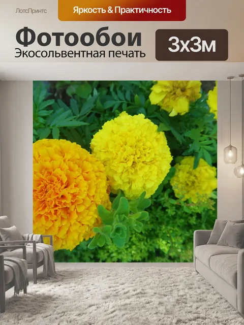 Фотообои Открытый