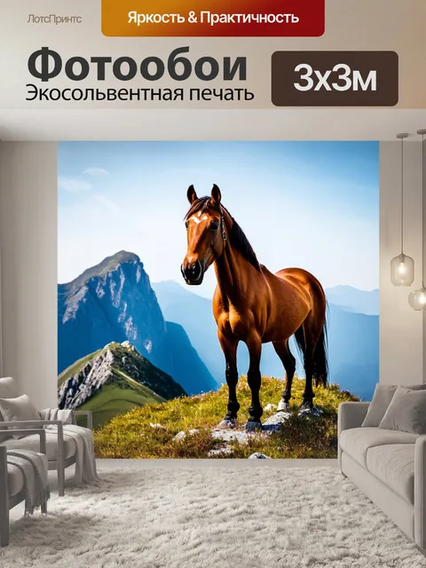 Фотообои конь, стоящий на горной вершине, в великолепии природы