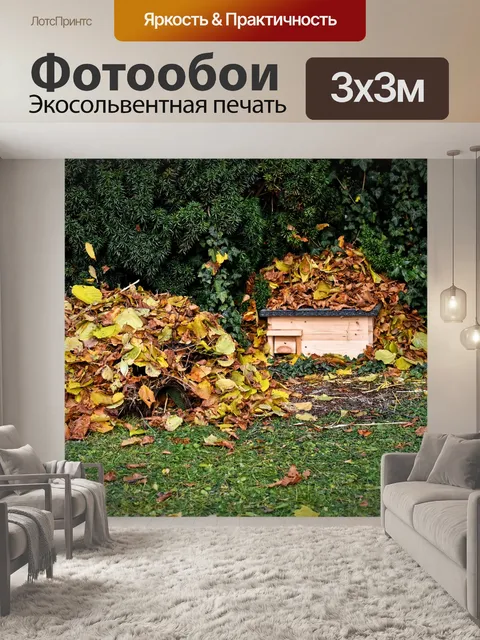 Фотообои Еж дома