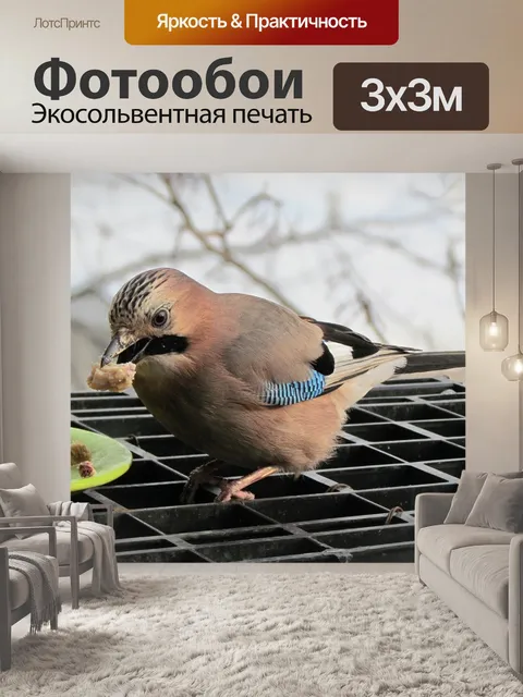 Фотообои Животные