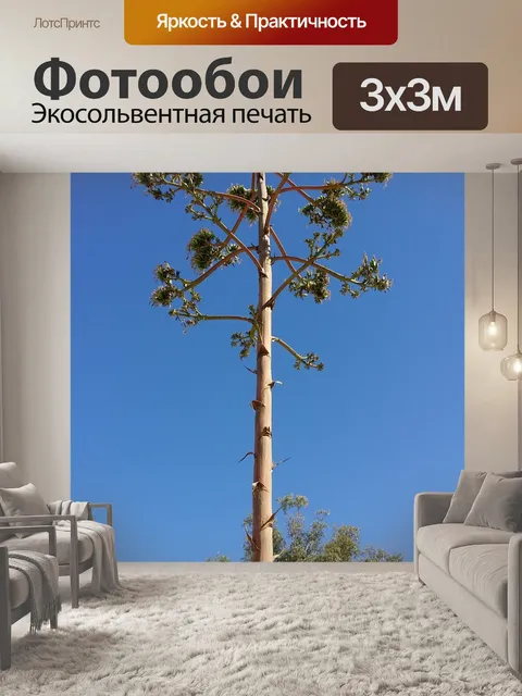 Фотообои Дерево