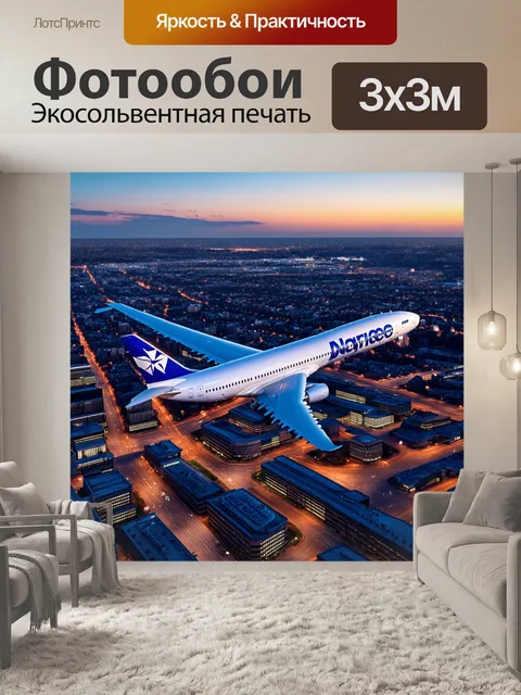 Фотообои уникальный взгляд на большой boeing с высоты птичьего полета