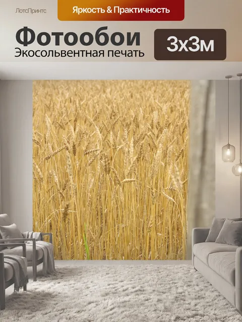 Фотообои Фермы поле Золотая пшеница колючая прово