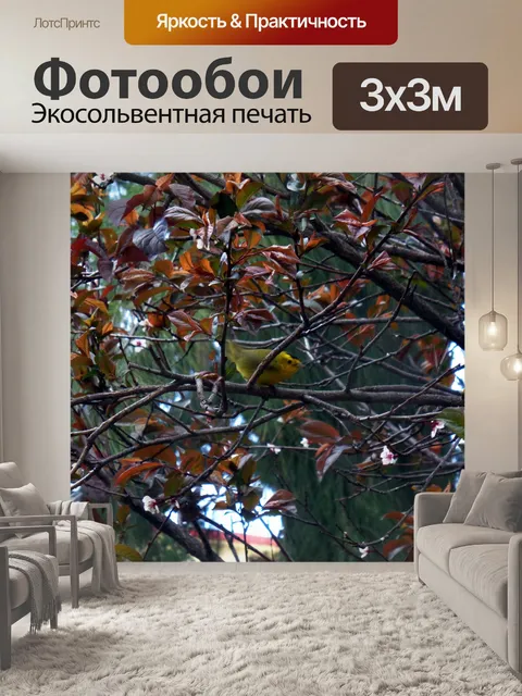 Фотообои Дерево