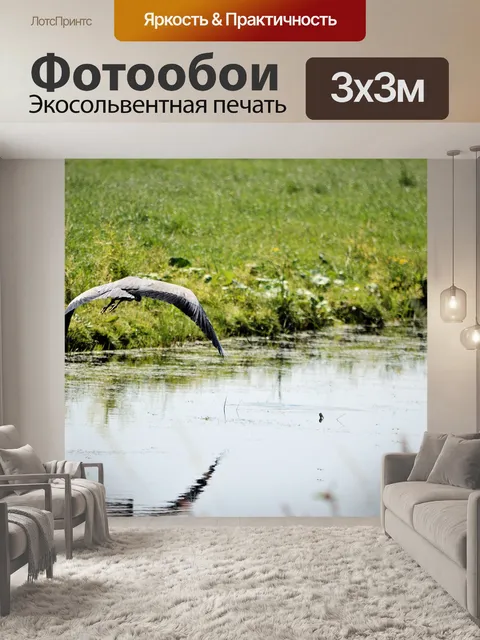 Фотообои Отражение