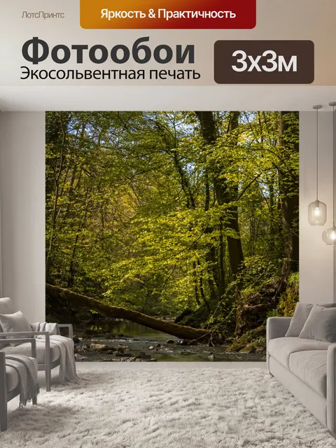 Фотообои Лес в Скиптоне