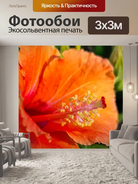 Фотообои Оранжевый цветок гибискуса