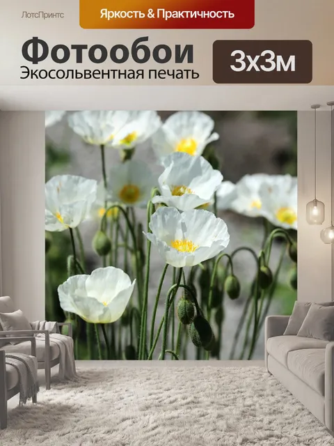 Фотообои Маки