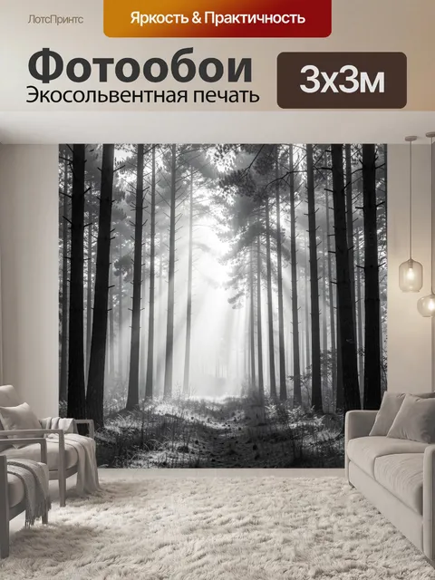 Фотообои Туманный лес с солнечными лучами