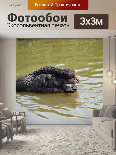 Фотообои Черный лебедь серия 1 водный балет 7