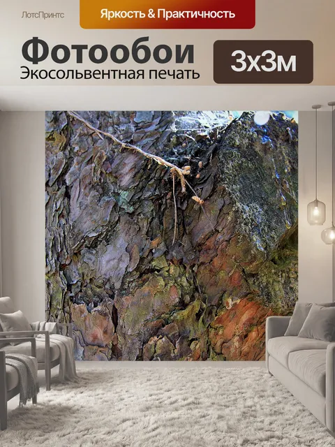 Фотообои Ствол