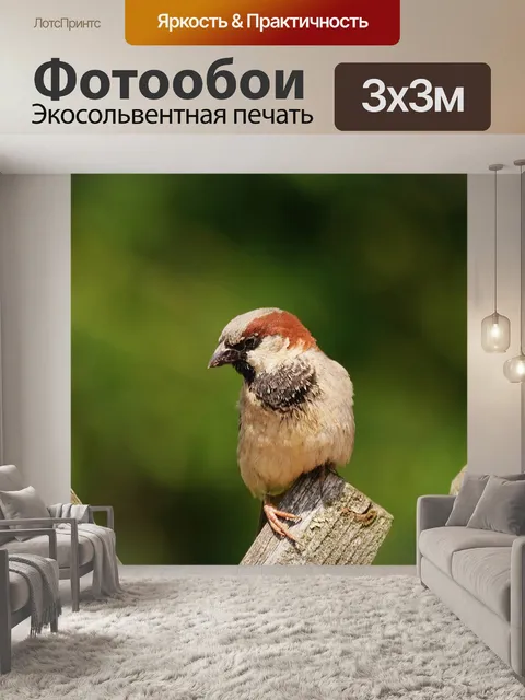 Фотообои Воробей